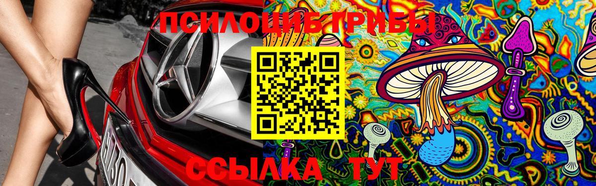 Галлюциногенные грибы Psilocybine cubensis  Вход с VPN  Киров 